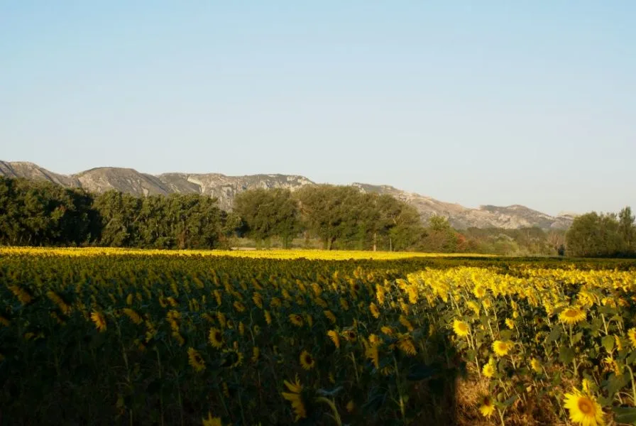 camping-stremydeprovence
