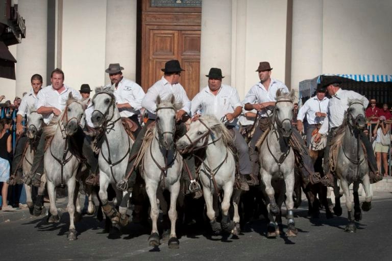 Féria de St Rémy de Provence
