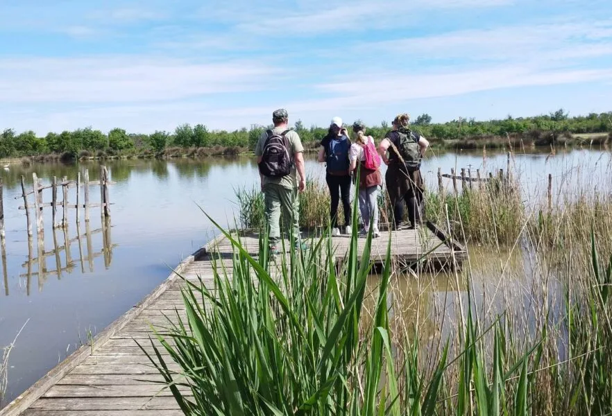 Découverte de la nature en Camargue aux Marais du Vigueirat