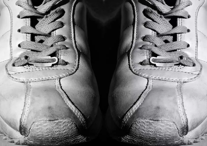 La Traversée des Alpilles